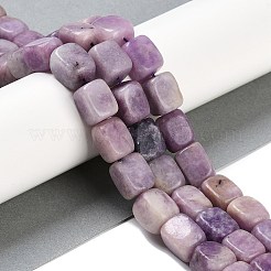 Natural Lepidolite Beads Strands&nbsp;G-M403-D06-01