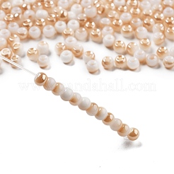 Glass Seed Beads&nbsp;GLAA-Q096-01F