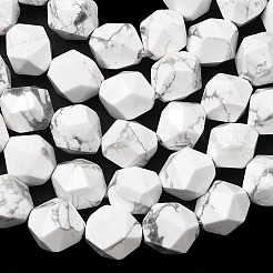 Natural Howlite Beads Strands&nbsp;G-Z119-A43-02
