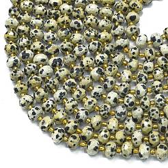 Natural Dalmatian Jasper Beads Strands&nbsp;G-K389-E26-01