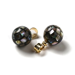 Natural Paua Shell Dyed Round Charms&nbsp;SSHEL-H071-01G-05