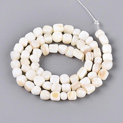 Natural Freshwater Shell Beads Strands&nbsp;BSHE-T014-51B