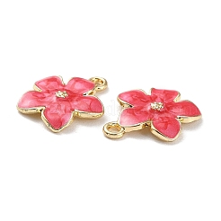 Alloy Enamel Pendants&nbsp;ENAM-C014-01G-01