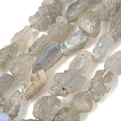 Raw Rough Natural Labradorite Beads Strands&nbsp;G-M453-D14
