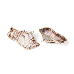 Natural Sea Shell Big Pendants with Golden Brass Edge & Iron Loops&nbsp;BSHE-T014-21