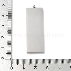 304 Stainless Steel Pendants&nbsp;STAS-P433-08P