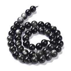 Natural Silver Obsidian Beads Strands&nbsp;X-G-D083-01B