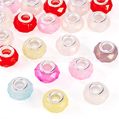 20Pcs Pearlized Resin European Beads&nbsp;RESI-TA0004-36