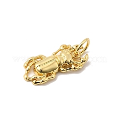 Brass Pendants&nbsp;KK-I364-05G-03