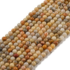 Natural Crazy Lace Agate Bead Strands&nbsp;G-A130-2mm-K10