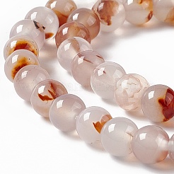 Natural Dendritic Agate Beads Strands&nbsp;X-G-C011-01A