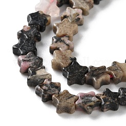 Natural Rhodonite Beads Strands&nbsp;G-G085-B50-02
