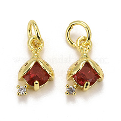Rack Plating Brass Micro Pave Cubic Zirconia Charms&nbsp;KK-F832-01-G