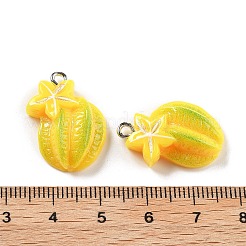Opaque Resin Pendants&nbsp;LS-RESI-S013-02I