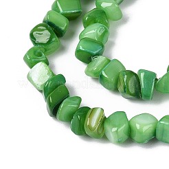 Natural Freshwater Shell Beads Strands&nbsp;SHEL-N037-04J