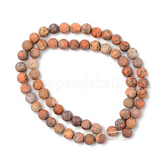 Natural American Turquoise Beads Strands&nbsp;G-S369-001B-A05