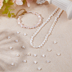 2 Strands Natural Freshwater Shell Beads Strands&nbsp;SHEL-SC0001-85D