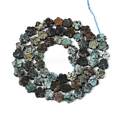 Natural African Turquoise(Jasper) Beads Strands&nbsp;LS-G-N257-24A-05