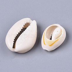 Natural Cowrie Shell Beads&nbsp;X-SSHEL-N034-34