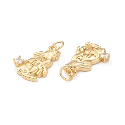 Eco-Friendly Brass Micro Pave Cubic Zirconia Pendants&nbsp;KK-I698-36G