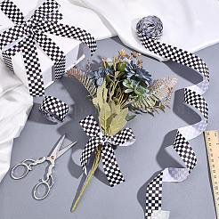 Polyester Ribbon&nbsp;OCOR-WH0109-113
