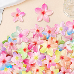 72Pcs 12 Styles Plastic Cabochons&nbsp;KY-SC0002-58