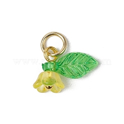 36Pcs Frosted Acrylic Flower & Leaf Charms&nbsp;PALLOY-JF03552