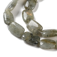 Natural Labradorite Beads Strands&nbsp;G-K357-D16-01