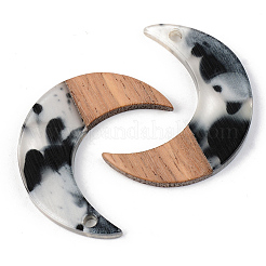 Transparent Resin & Walnut Wood Pendants&nbsp;RESI-S389-056B-A02