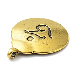 Alloy Pendants&nbsp;PALLOY-Q448-01AG