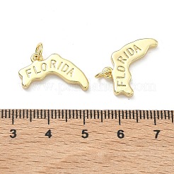 Brass Pendants&nbsp;KK-D229-22D-G