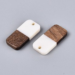 12Pcs 6 Styles Opaque Resin & Walnut Wood Pendants&nbsp;RESI-N053-22