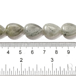 Natural Labradorite Beads Strands&nbsp;G-P561-B05-01