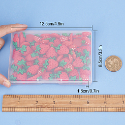 60Pcs 2 Style Resin Cabochons&nbsp;CRES-SC0002-36