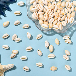 100Pcs Natural Cowrie Shell Beads&nbsp;BSHE-LT0001-03A
