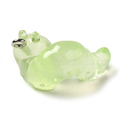 Luminous Transparent Resin Pendants&nbsp;X-RESI-E056-03P-02