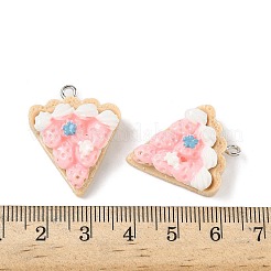 Opaque Resin Pendants&nbsp;FIND-Z092-01P-02