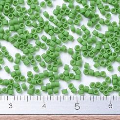 MIYUKI Delica Beads&nbsp;SEED-J020-DB0754