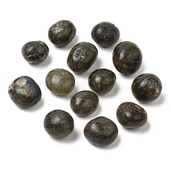 Natural Labradorite Beads&nbsp;G-O188-01