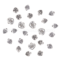 Tibetan Style Alloy Charms&nbsp;TIBE-CJ0001-08