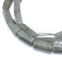 Natural Labradorite Beads Strands&nbsp;G-F631-E22