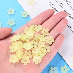 Transparent Acrylic Beads&nbsp;MACR-S373-118-D03
