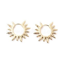 Brass Hoop Earrings&nbsp;EJEW-Z143-01G