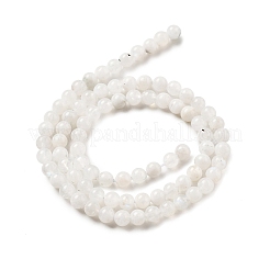 Round Grade A Natural Rainbow Moonstone Bead Strands&nbsp;G-M304-06-5mm