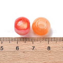 Opaque Resin with Glitter Powder European Beads&nbsp;RESI-G119-05