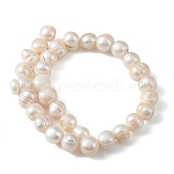 Natural Cultured Freshwater Pearl Beads Strands&nbsp;PEAR-L034-18C