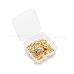 12Pcs 12 Style Brass Micro Pave Cubic Zirconia Pendants&nbsp;ZIRC-LS0001-03G