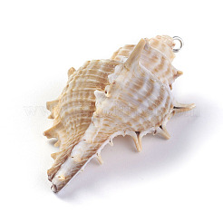 Spiral Shell Pendants&nbsp;BSHE-G019-04P