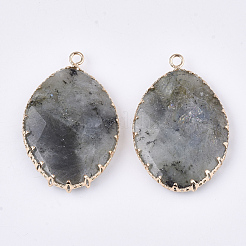 Natural Labradorite Pendants&nbsp;G-S344-83A