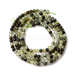 Natural Prehnite Beads Strands&nbsp;G-L629-B05-2mm